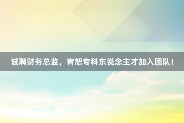 诚聘财务总监，宥恕专科东说念主才加入团队！